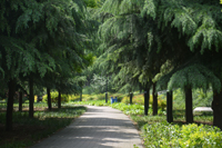JRWD_20140429_ind2_01
